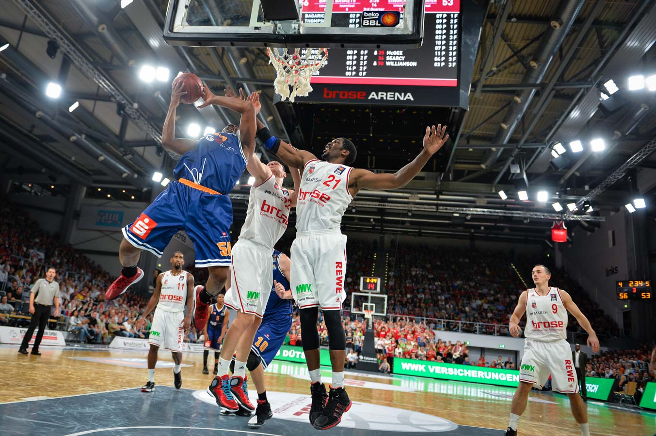 Eisbären Bremerhaven Fotograf